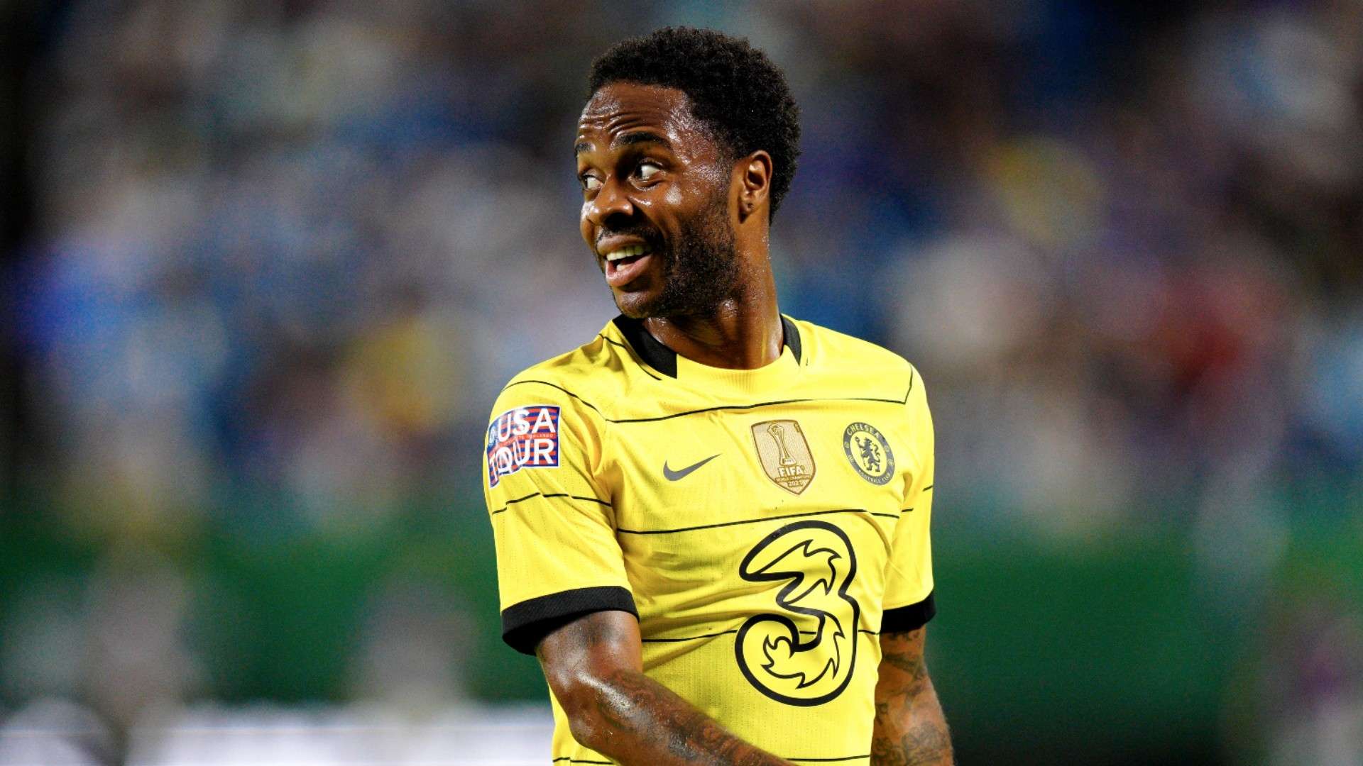 活動範圍也 活動範圍也