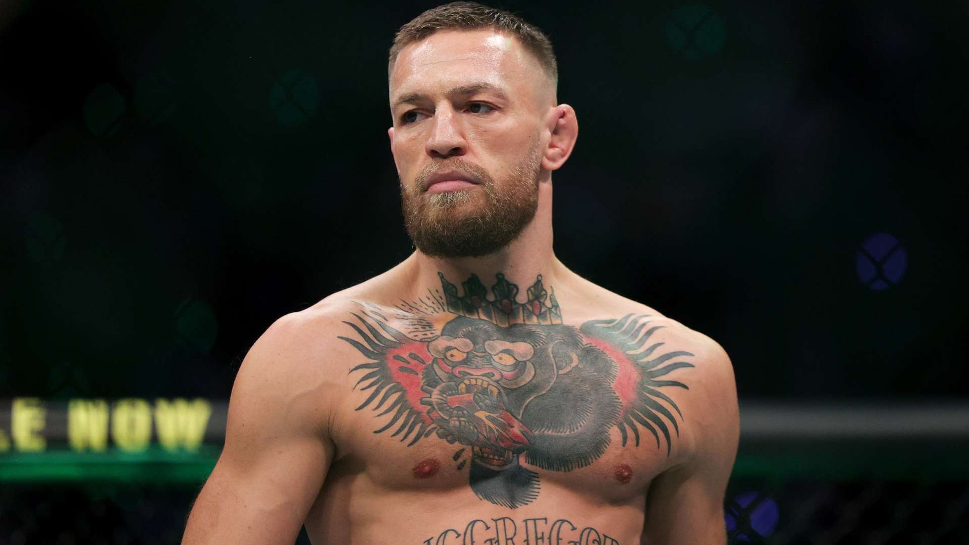 积累了丰富 积累了丰富